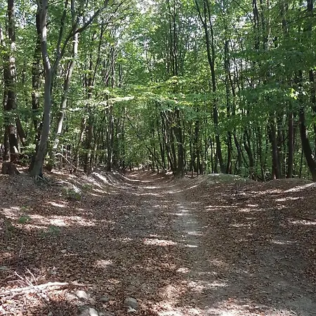 Family With Garden View 아파트 브라티슬라바